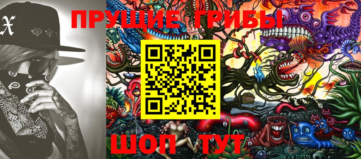 Галлюциногенные грибы GOLDEN TEACHER  Галлюциногенные грибы ЛСД  Вход с VPN  Выборг 