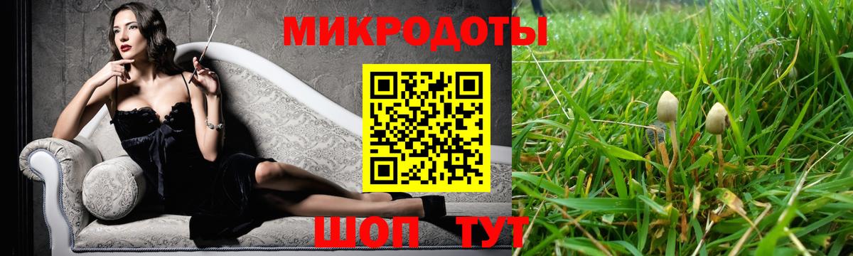 Псилоцибиновые грибы Psilocybine cubensis Выборг